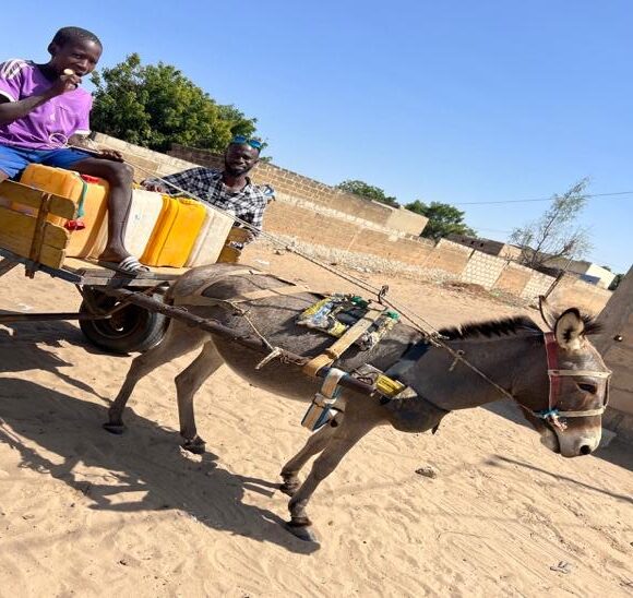 Sur le terrain à Taïba Ndiaye : enquêter sur l’eau entre confidences, imprévus et ancrages personnels