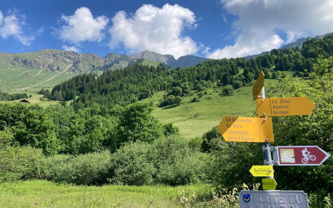 Visite guidée du sentier des avalanches dans la région Mosses – Les Diablerets